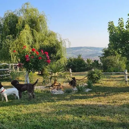 Chalet Etno Kompleks Orahovac - Vajat Sova Aranđelovac