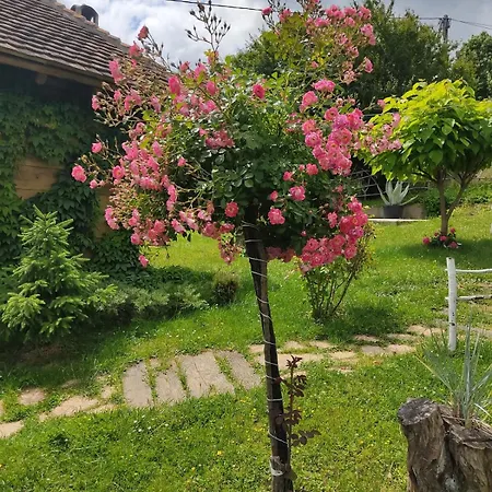 Etno Kompleks Orahovac - Vajat Sova Chalet Aranđelovac